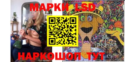 трава Кандалакша