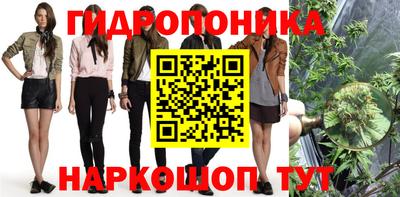 трава Кандалакша